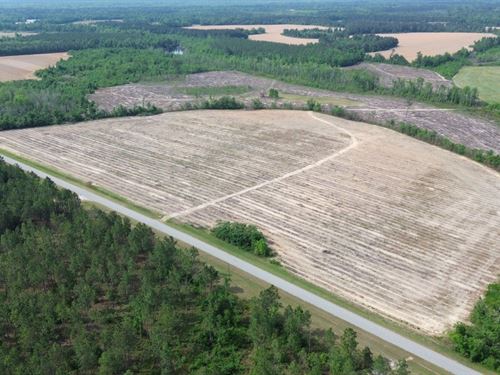 Bunn Store Road : Midville : Burke County : Georgia