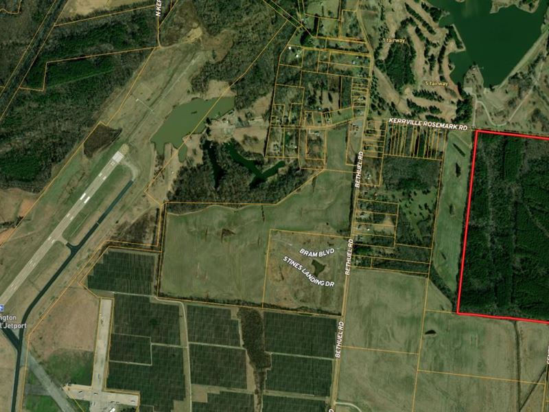 157.5+/- Acre of Prime Timberland : Millington : Shelby County : Tennessee