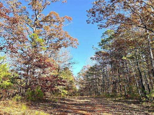 Weoka Farm 47 : Weoka : Elmore County : Alabama