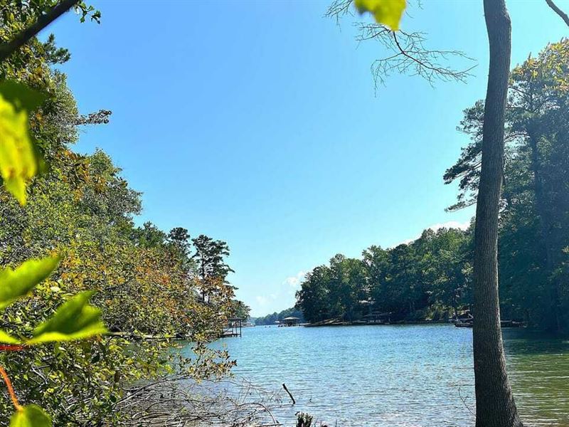 Castaway Cove : Eclectic : Elmore County : Alabama