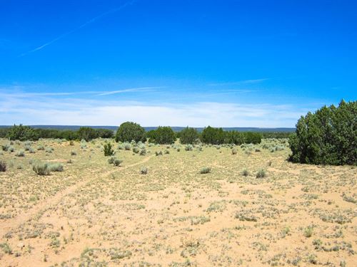 A Quiet Shelf of Arizona : Saint Johns : Apache County : Arizona