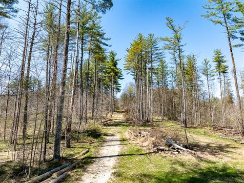 Cox Rd, 218 Acres : Logan : Hocking County : Ohio