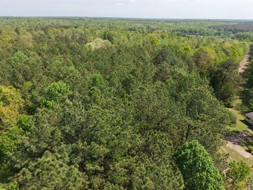 49.05 Acres in Hardeman County, TN : Medon : Hardeman County : Tennessee
