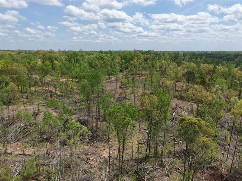 207.16 Acres in Madison County, TN : Jackson : Madison County : Tennessee