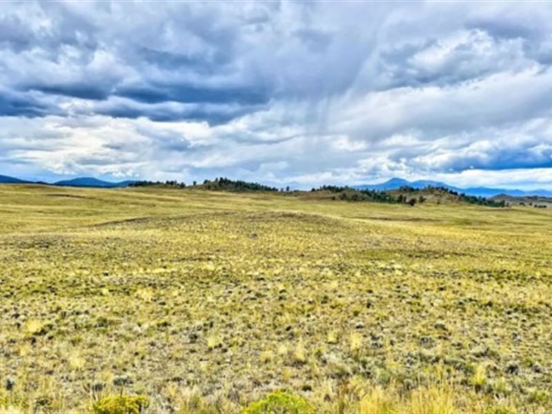 5 Acres-Camp Now, Build Later : Hartsel : Park County : Colorado