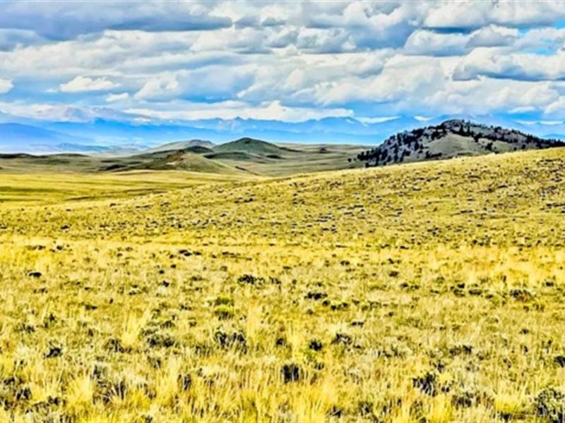 5 Acres for Camping or Future Build : Hartsel : Park County : Colorado