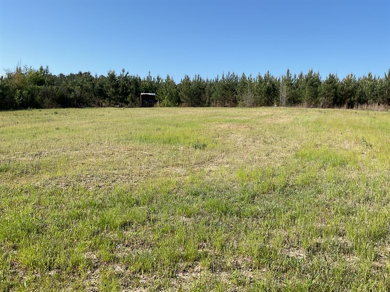 Blackmon Road 240 Tract : Brantley : Crenshaw County : Alabama