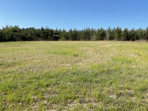 Blackmon Road 240 Tract : Brantley : Crenshaw County : Alabama