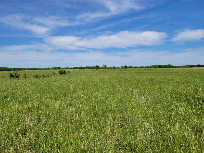 30 Acres Pasture, Pond NE TX : Clarksville : Red River County : Texas