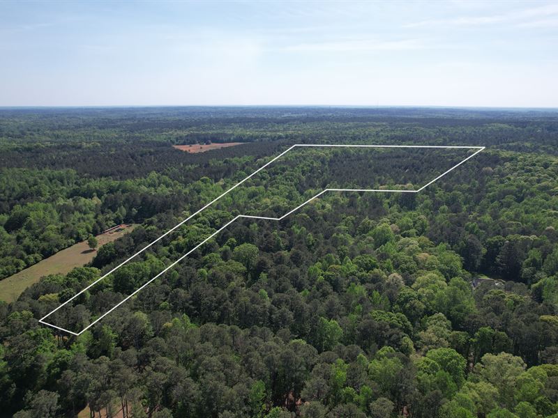 35 AC Land in Social Circle, GA : Social Circle : Newton County : Georgia