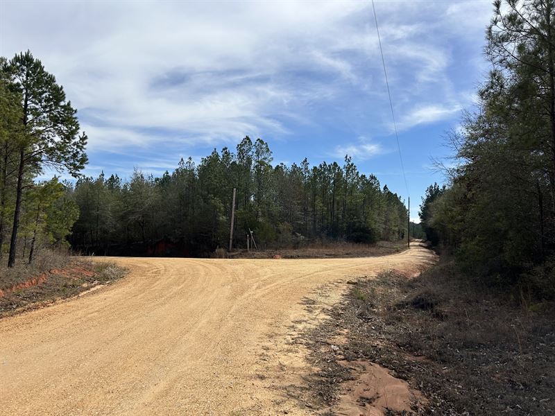 Garland Belmont Tract : Garland : Butler County : Alabama