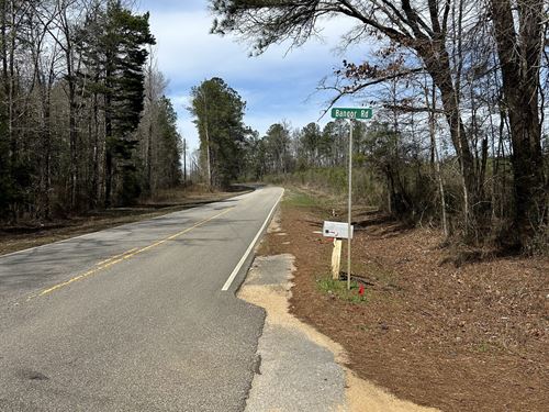 Hank Williams Rd Hunting and Timber : Garland : Butler County : Alabama