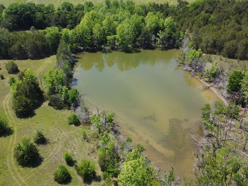 Nice Small Recreational Property : Hayneville : Lowndes County : Alabama