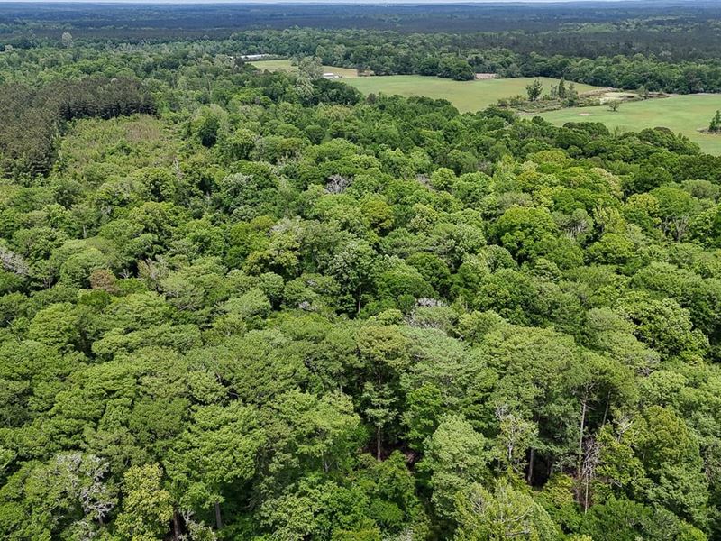 Lick Creek Tract : Mount Union : Union Parish : Louisiana