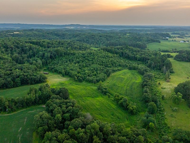 60.5 Acres Trempealeau County : Blair : Trempealeau County : Wisconsin