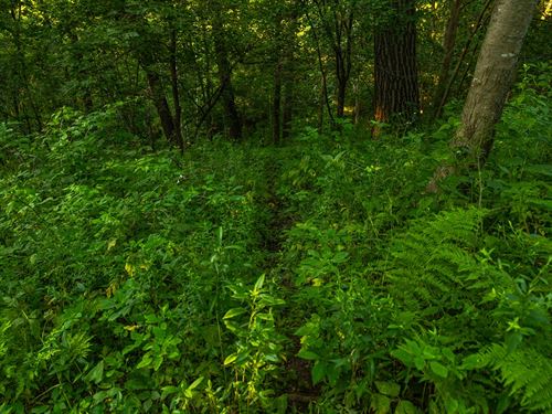 82 Acres Trempealeau County : Blair : Trempealeau County : Wisconsin