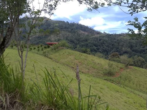 Stunning View and Landscaping : Tucurrique : Costa Rica
