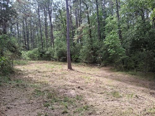 38 Acres, Highway 69 : Zavalla : Angelina County : Texas
