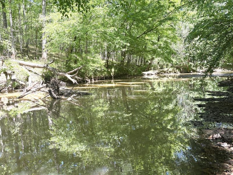 Shoulderbone Creek Timberland : Sparta : Hancock County : Georgia