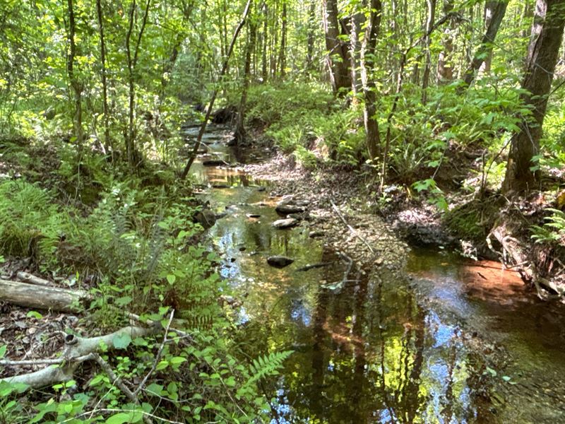 38 Acres, Rockmart, GA : Rockmart : Polk County : Georgia