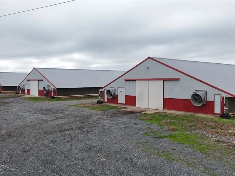 74.6 Acre Poultry Farm in Lincoln : Simsboro : Lincoln Parish : Louisiana