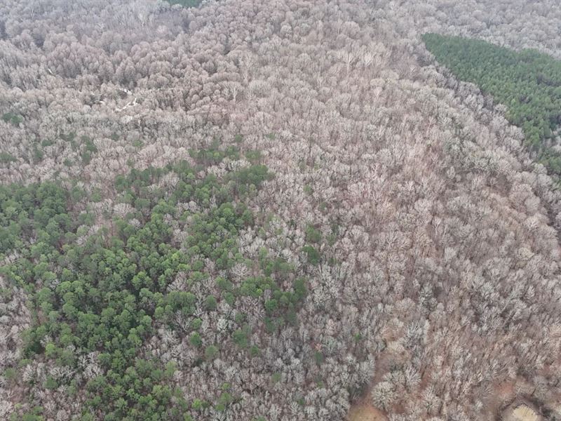 50 Acres in Lafayette County, MS : Abbeville : Lafayette County : Mississippi