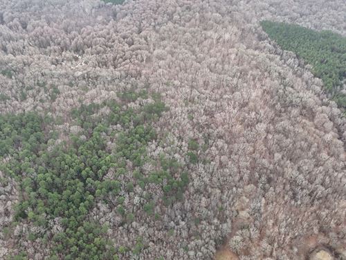 50 Acres in Lafayette County, MS : Abbeville : Lafayette County : Mississippi