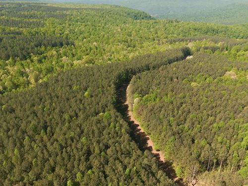 33 Acres in Marion County, TN : South Pittsburg : Marion County : Tennessee