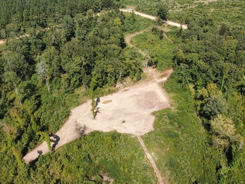 40 Acres in Morehouse Parish, LA : Bastrop : Morehouse Parish : Louisiana