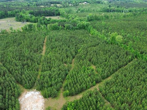 8 Acres Tallapoosa County, AL : Dadeville : Tallapoosa County : Alabama