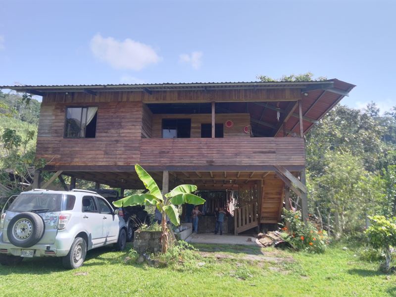 Emerald Creek Pasture and Cabin : La Suiza : Costa Rica