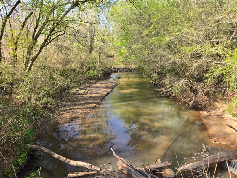 Kimbrough Creek Tract : Talbotton : Talbot County : Georgia
