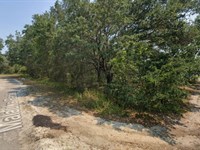 .37 Acres in Oklawaha Florida : Silver Springs Shores East : Marion County : Florida