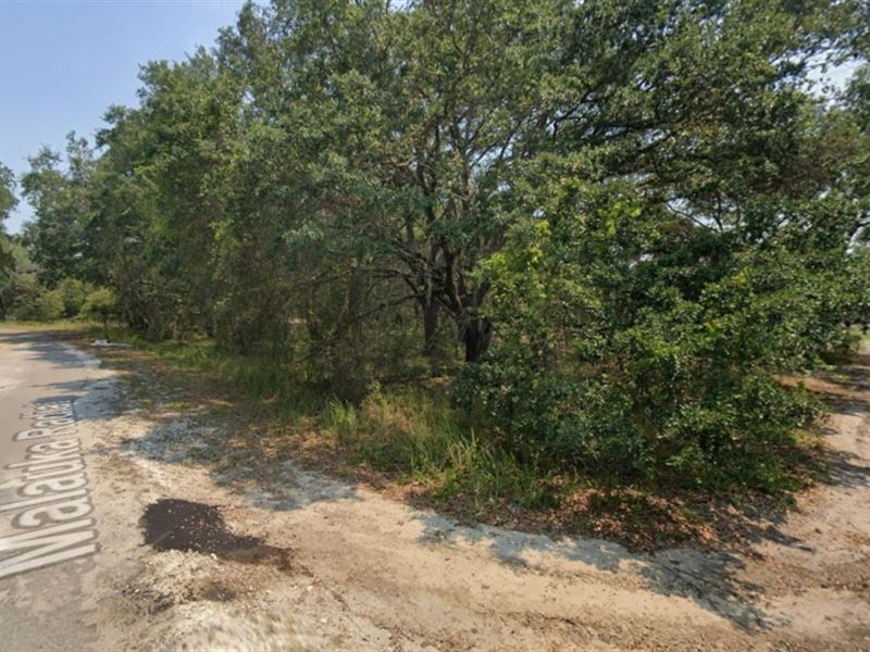 .37 Acres in Oklawaha Florida : Silver Springs Shores East : Marion County : Florida