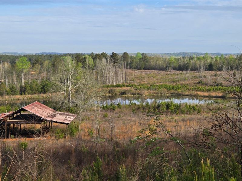 Lazy Lakes : Talbotton : Talbot County : Georgia