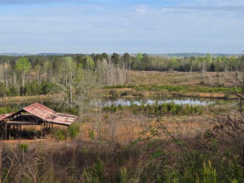 Lazy Lakes : Talbotton : Talbot County : Georgia
