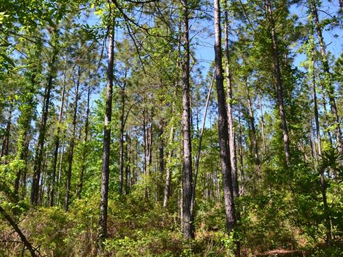 Mayberry Tract 6 : Dublin : Laurens County : Georgia