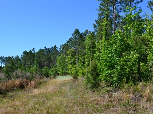 Mayberry Tract 1 : Dublin : Laurens County : Georgia