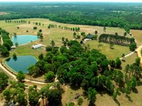 Elysian Fields Cattle Farm : Garfield : Jenkins County : Georgia
