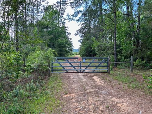 76 Acres, Off FM 1277 : San Augustine : Texas