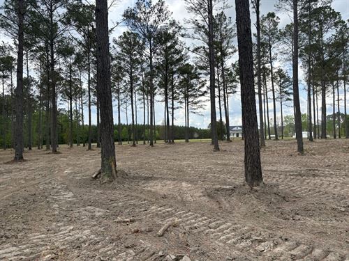 Hardie Farms Tract 2 : Gordon : Wilkinson County : Georgia