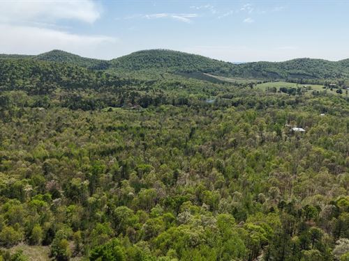 6.67 Acres Tract 8 in Polk County : Mena : Polk County : Arkansas