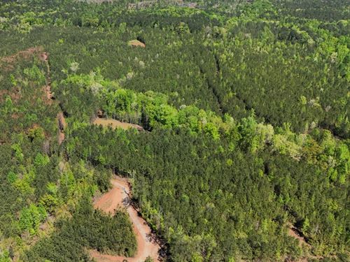 28 Acres in Lee County, AL : Salem : Lee County : Alabama