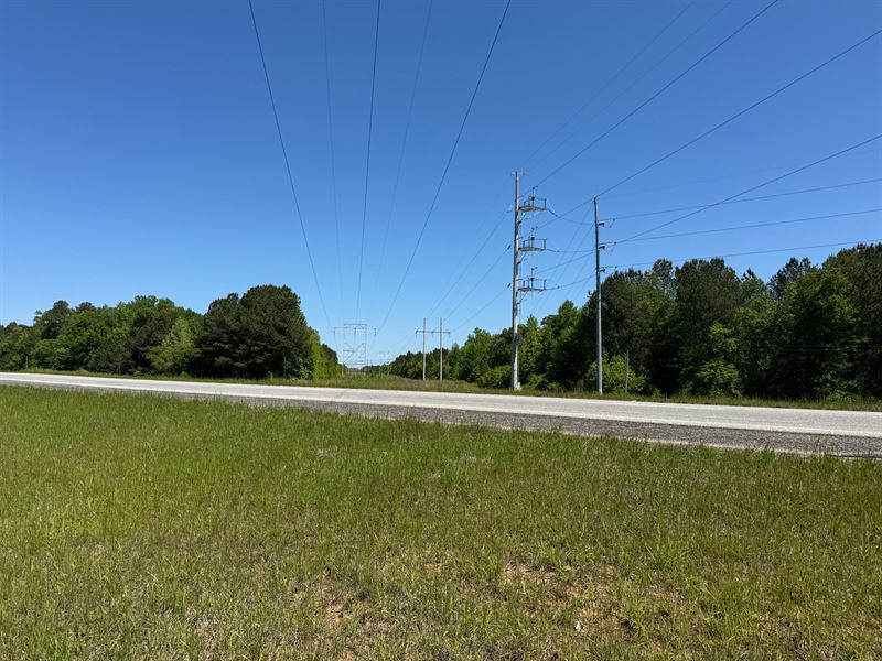 14 Acres, Highway 280 Frontage : Dadeville : Tallapoosa County : Alabama