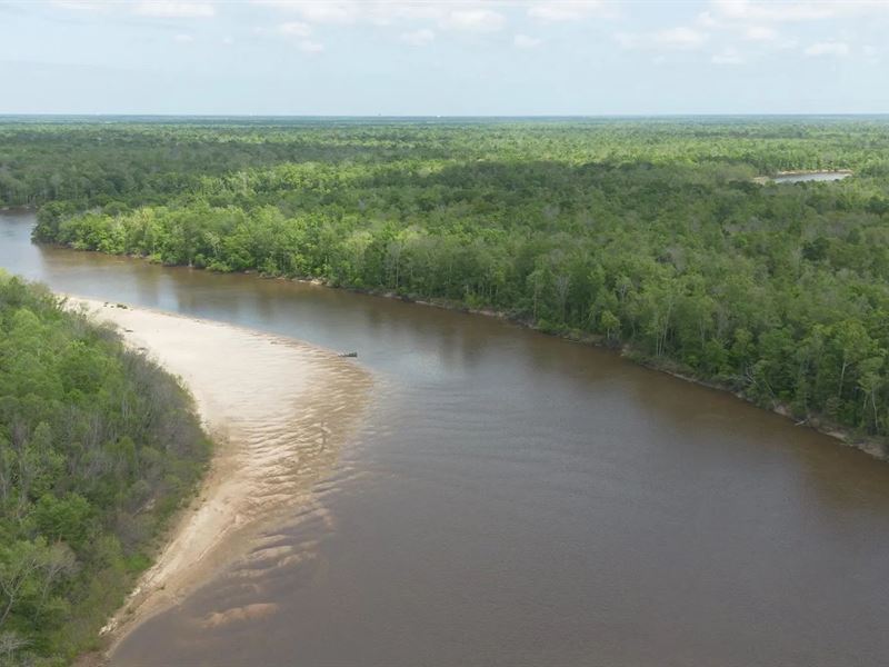 385 Acres Pearl River Frontage Loui : Pearl River : Saint Tammany Parish : Louisiana