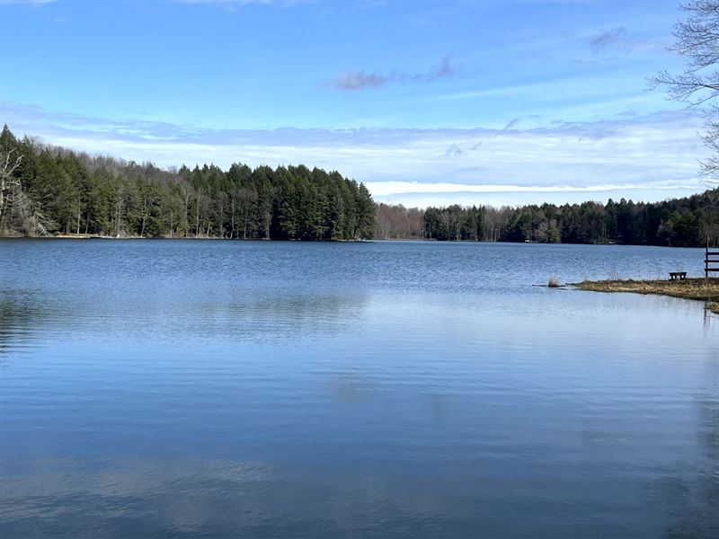 Lakefront Privacy on Beaver Meadow : Smyrna : Chenango County : New York