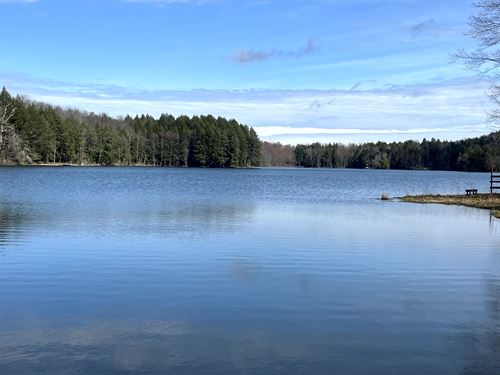 Lakefront Privacy on Beaver Meadow : Smyrna : Chenango County : New York