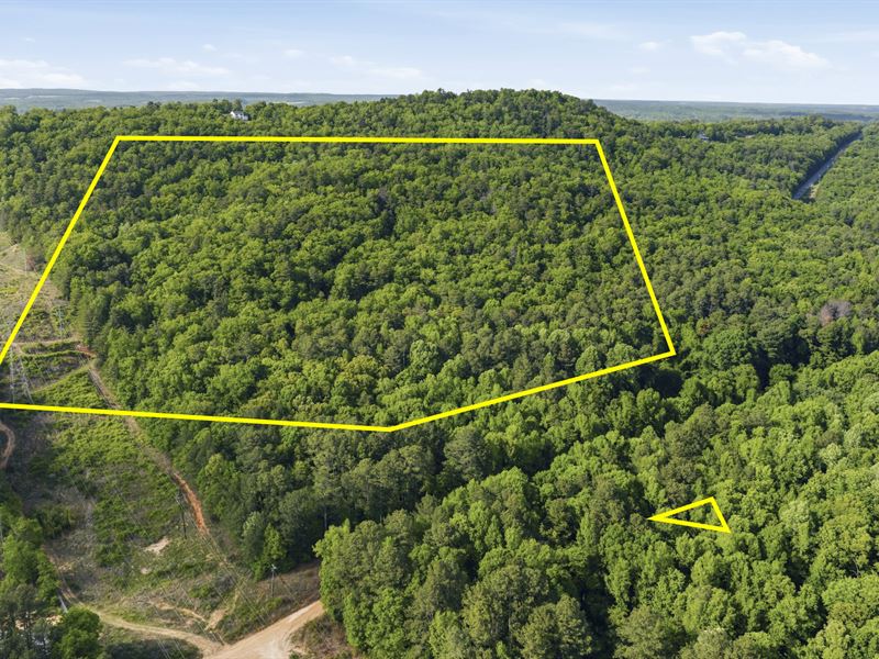 Bristow Gap 39Ac Recreational Tract : Leesburg : Cherokee County : Alabama