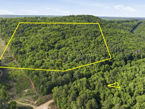 Bristow Gap 39Ac Recreational Tract : Leesburg : Cherokee County : Alabama