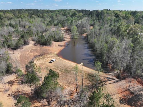 Moonlight Springs 78 : Banks : Pike County : Alabama